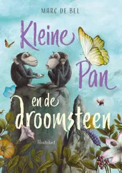 Omslag van Kleine Pan en de droomsteen