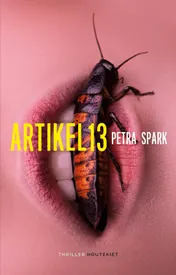 Omslag van Artikel 13