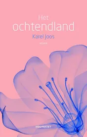 Omslag van Het ochtendland