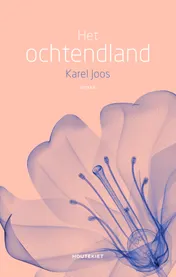 Omslag van Het ochtendland