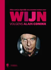 Omslag van Alles wat je zou moeten weten over wijn