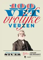 Omslag van 100 vet vrolijke verzen