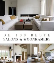 Omslag van De 100 beste salons en woonkamers
