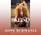 Omslag van Skeind