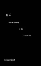 Omslag van Een knipoog in de duisternis