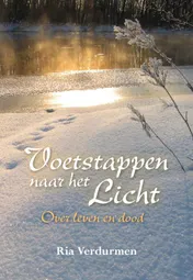 Omslag van Voetstappen naar het Licht