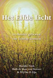 Omslag van Het elfde licht