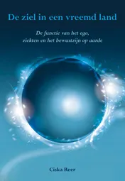 Omslag van De ziel in een vreemd land