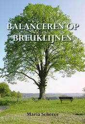 Omslag van Balanceren op breuklijnen