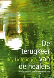 Omslag van De terugkeer van de healers