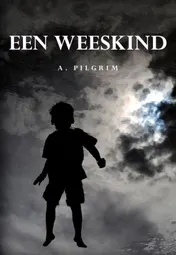 Omslag van Een weeskind