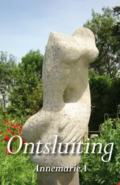 Omslag van Ontsluiting