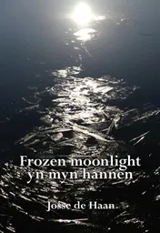 Omslag van Frozen moonlight yn myn hannen