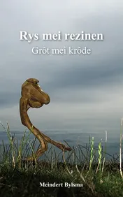 Omslag van Rys mei rezinen