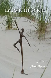 Omslag van Lykwicht sykje