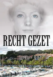 Omslag van Recht gezet