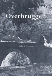 Omslag van Overbruggen