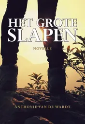 Omslag van Het grote slapen