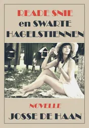 Omslag van Reade snie en swarte hagelstiennen