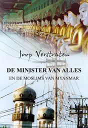 Omslag van Minister van alles