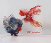 Omslag van FILM3 [kju-bIk fIlm]