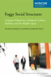 Omslag van Foggy social structures