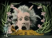 Omslag van Fantasia of color in early cinema
