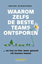 Omslag van Waarom zelfs de beste teams ontsporen