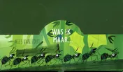 Omslag van Was ik maar - kartonboek - display 6 exemplaren