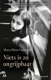 Omslag van Niets is zo ongrijpbaar