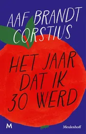 Omslag van Het jaar dat ik 30 werd