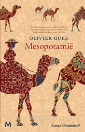Omslag van Mesopotamië