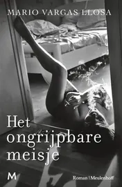 Omslag van Het ongrijpbare meisje