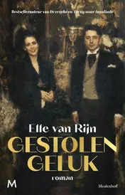 Omslag van Gestolen geluk