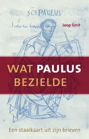 Omslag van Wat Paulus bezielde
