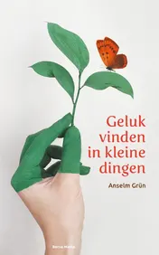 Omslag van Geluk vinden in kleine dingen