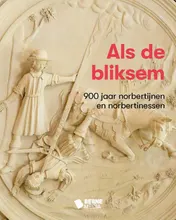 Omslag van Als de bliksem