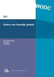 Omslag van Daders van huiselijk geweld