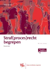 Omslag van Straf(proces)recht begrepen