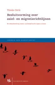 Omslag van Besluitvorming over asiel- en migratierichtlijnen