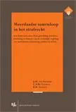 Omslag van Meerdaadse samenloop in het strafrecht