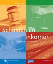 Omslag van Schulden en inkomen