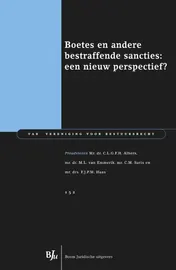 Omslag van Boetes en andere bestraffende sancties: een nieuw perspectief?