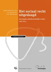 Omslag van Het sociaal recht uitgedaagd