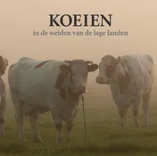 Omslag van Koeien in de weiden van de lage landen