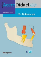 Omslag van Het dahlconcept
