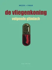 Omslag van Vvolgende glimlach