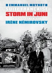 Omslag van Storm in juni