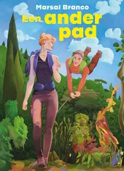 Omslag van Een ander pad
