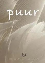 Omslag van De kunst van het zijn - Puur